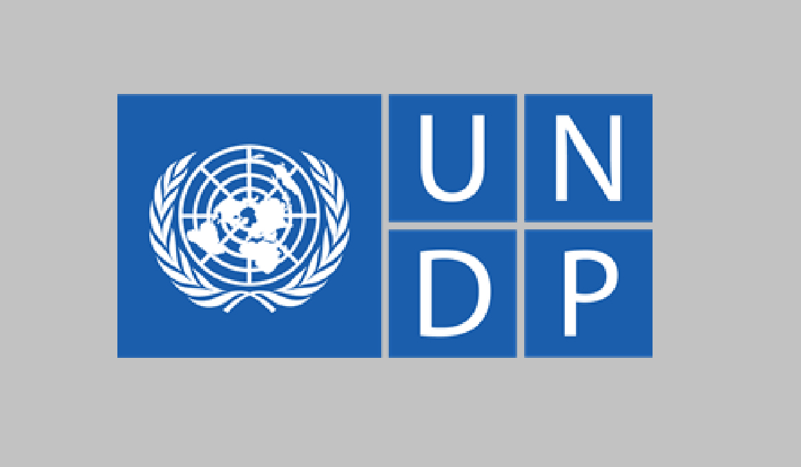 undp.jpg